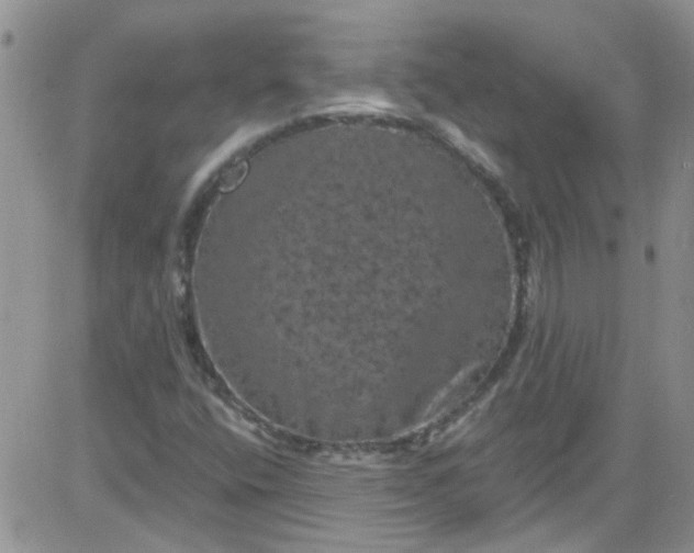 X0000084051400200703022203