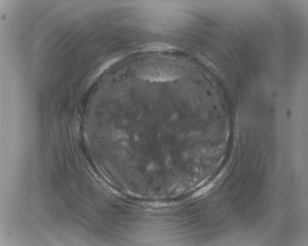 X0000084051401200703022203