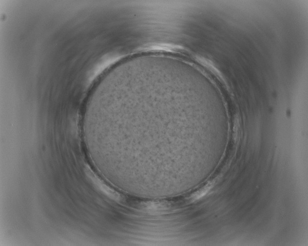 X0000084051404200703022203