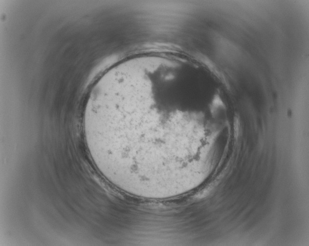 X0000084051405200703022203