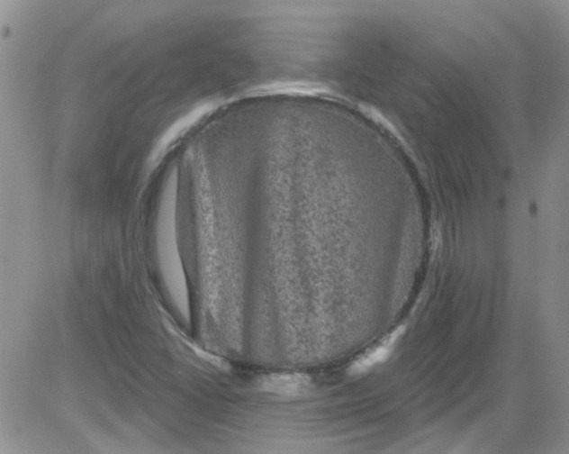 X0000084051406200703022203