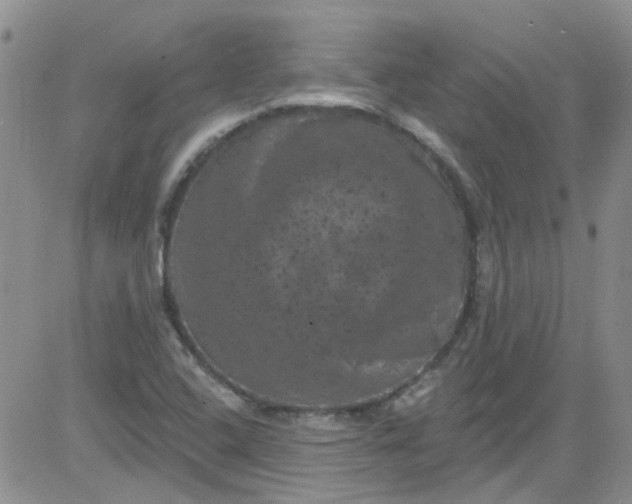 X0000084051408200703022203