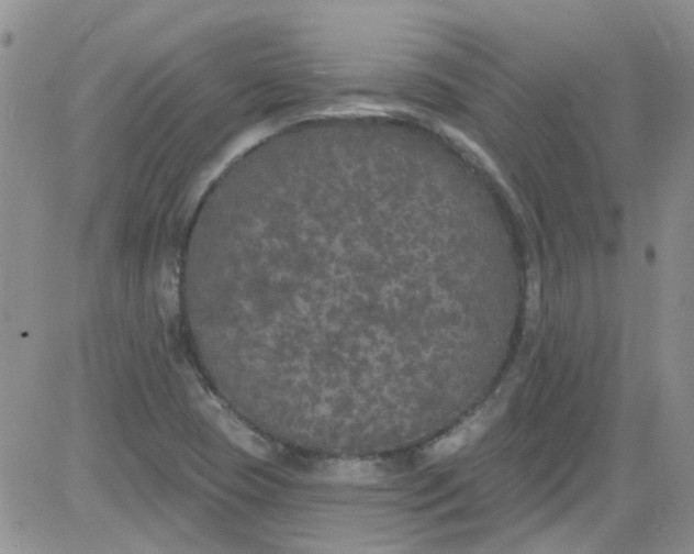 X0000084051409200703022203