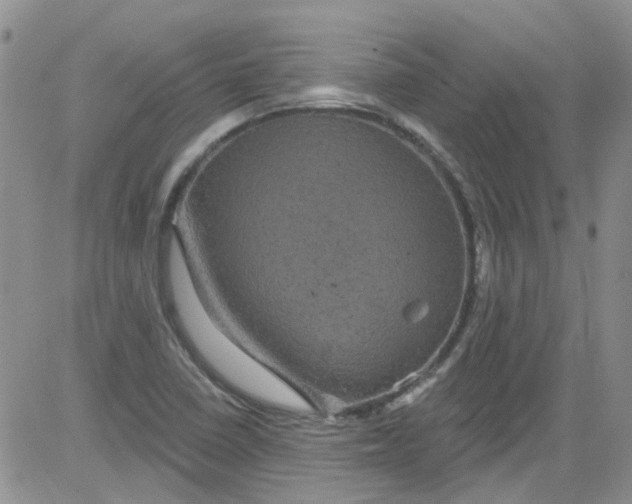 X0000084051410200703022203