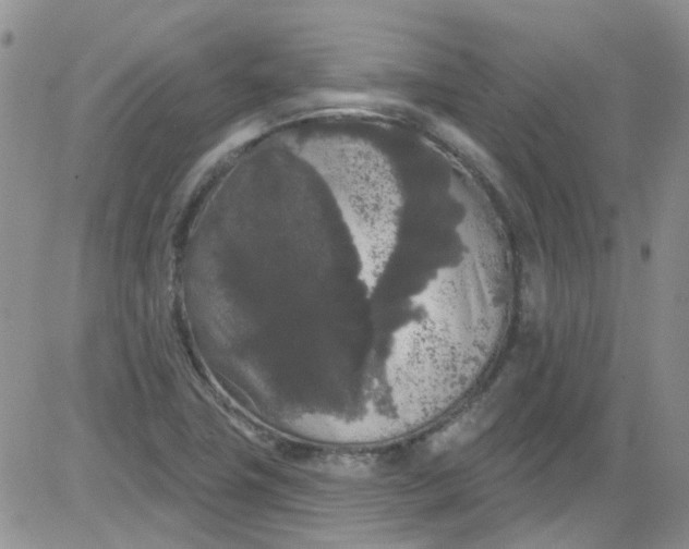 X0000084051411200703022203