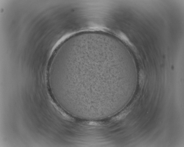 X0000084051412200703022203