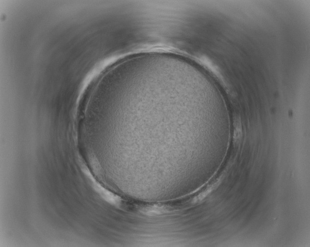 X0000084051414200703022203