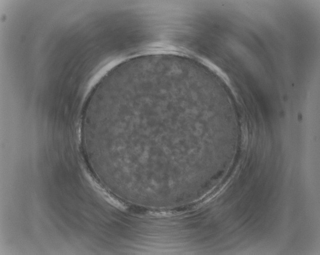 X0000084051415200703022203