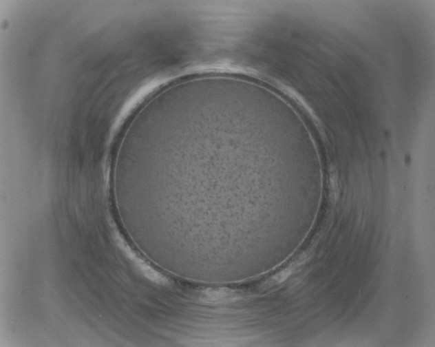 X0000084051416200703022203