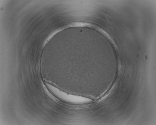 X0000084051417200703022203