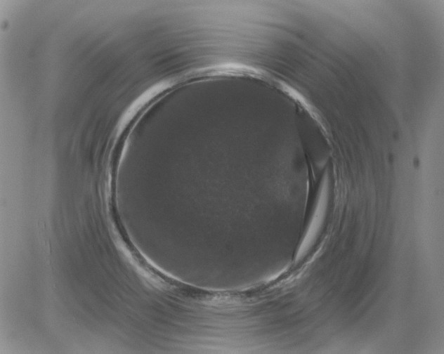 X0000084051418200703022203