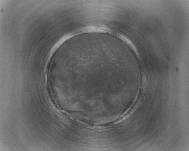 X0000084051419200703022203