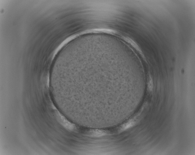 X0000084051420200703022203