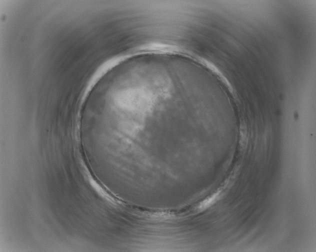 X0000084051421200703022203