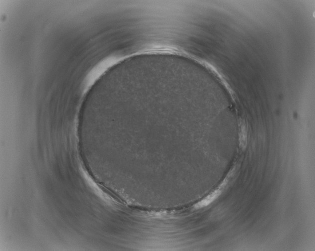 X0000084051422200703022203