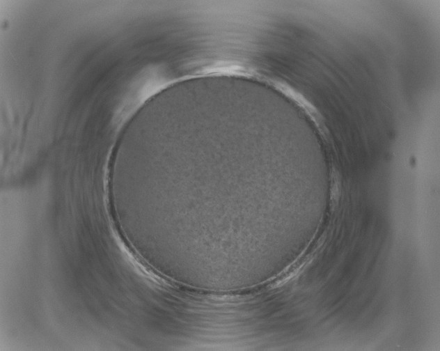 X0000084051423200703022203