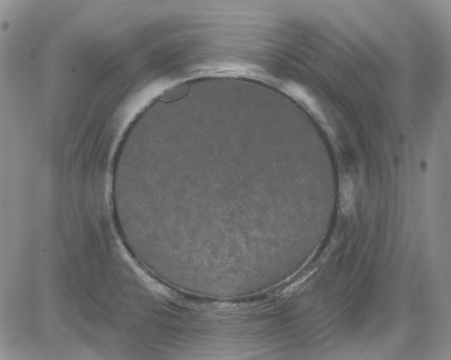 X0000084051424200703022203