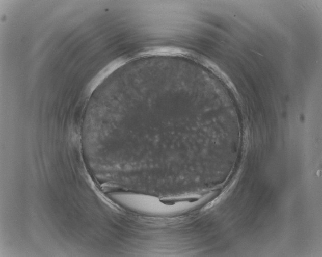 X0000084051425200703022203