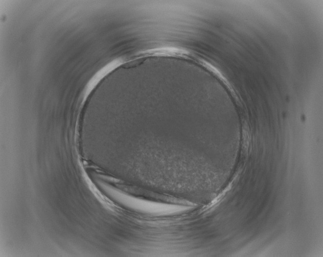 X0000084051426200703022203