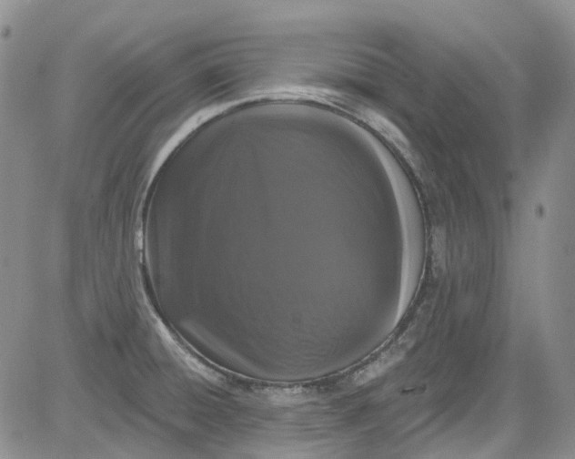 X0000084051428200703022203