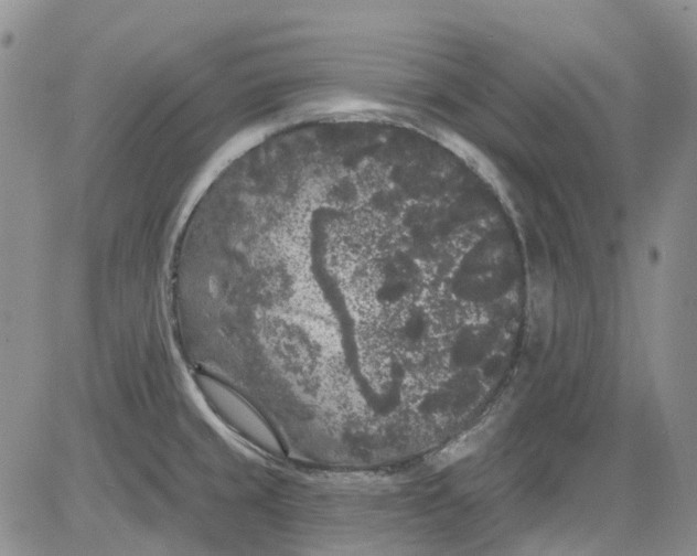 X0000084051429200703022203