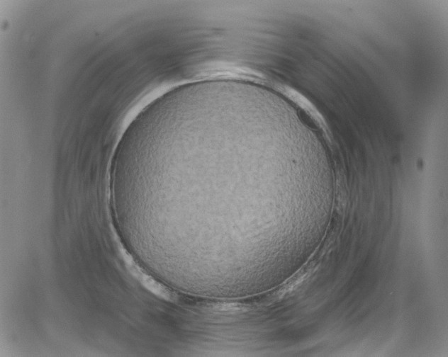 X0000084051431200703022203