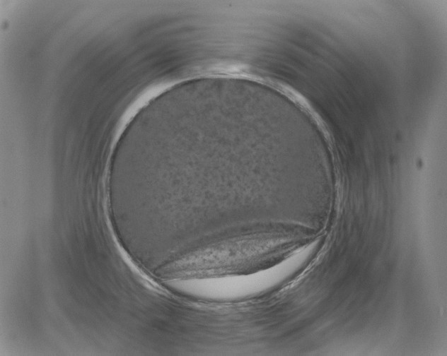 X0000084051432200703022203