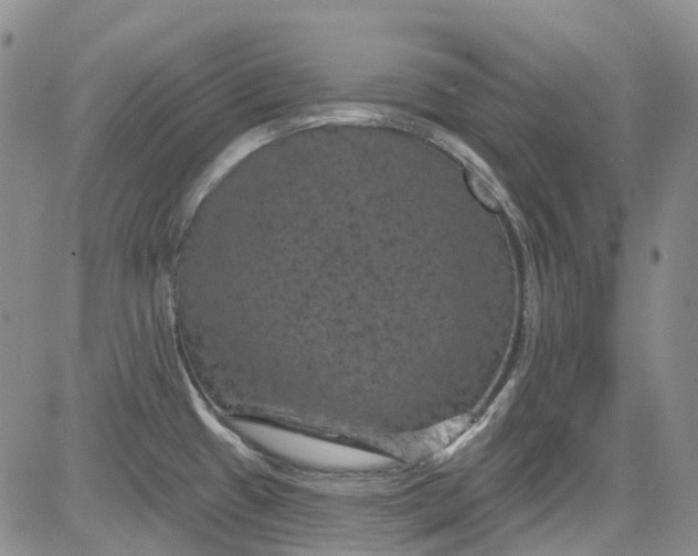 X0000084051433200703022203