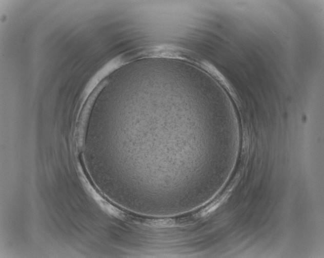 X0000084051434200703022203