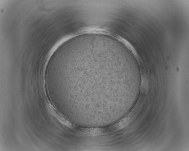 X0000084051435200703022203