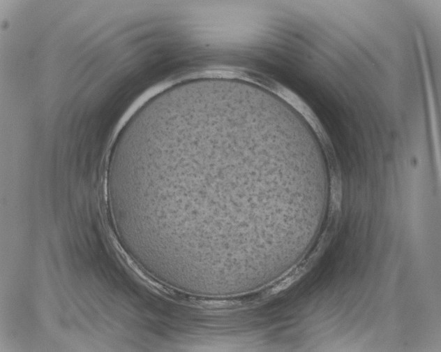 X0000084051436200703022203