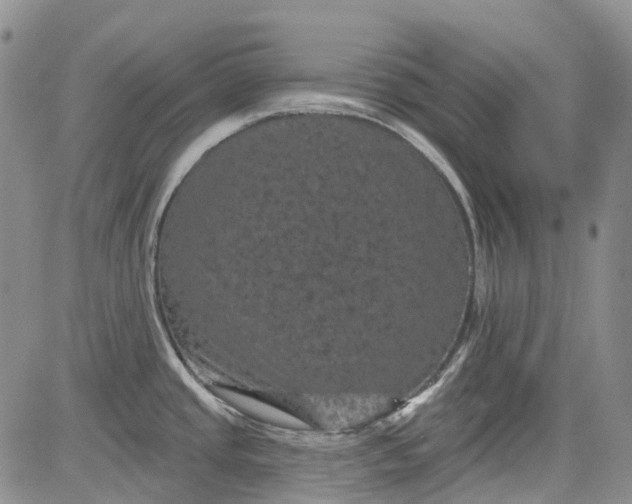 X0000084051437200703022203