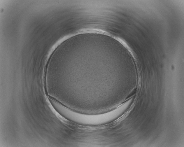 X0000084051438200703022203