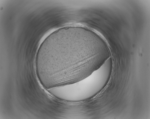 X0000084051440200703022203