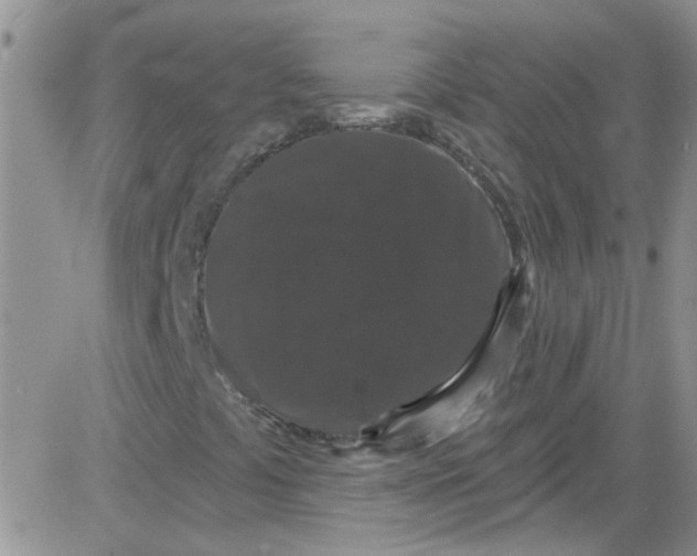 X0000084051441200703022202