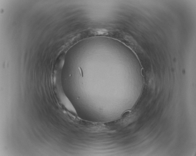 X0000084051442200703022202