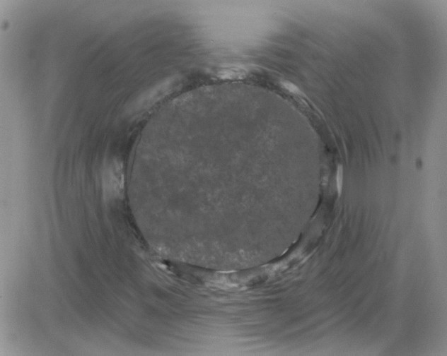 X0000084051443200703022202