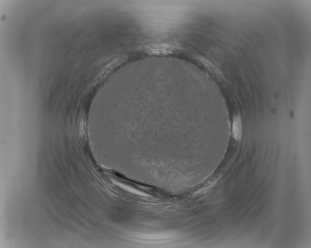 X0000084051444200703022202