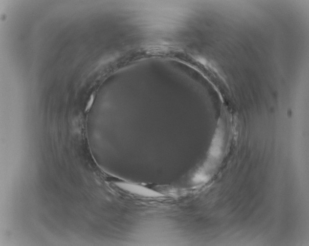 X0000084051445200703022202