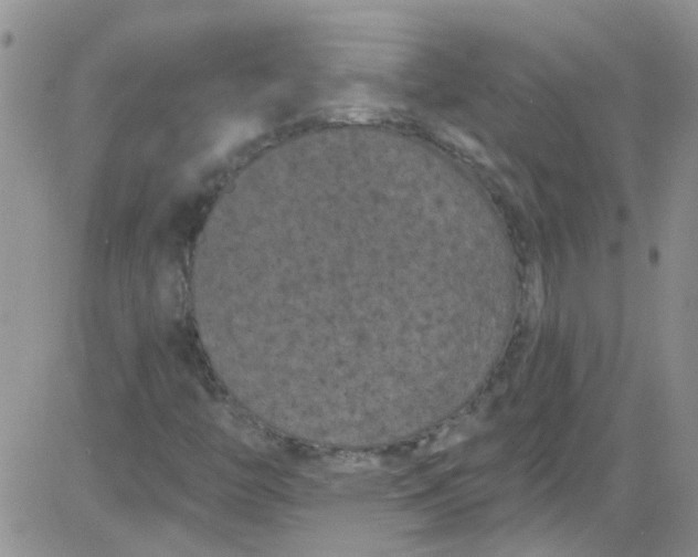 X0000084051446200703022202