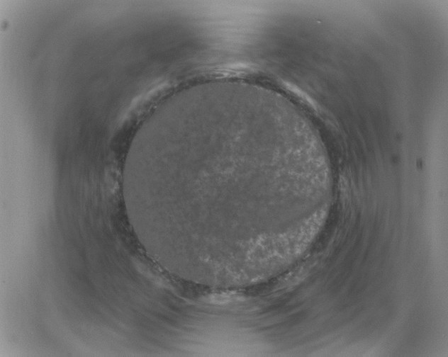 X0000084051447200703022202