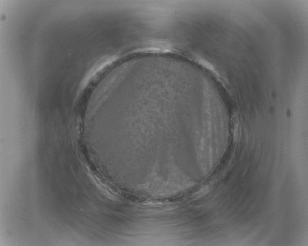 X0000084051448200703022202