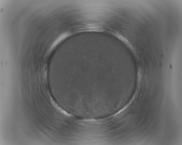 X0000084051450200703022202