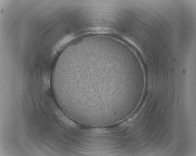 X0000084051451200703022202