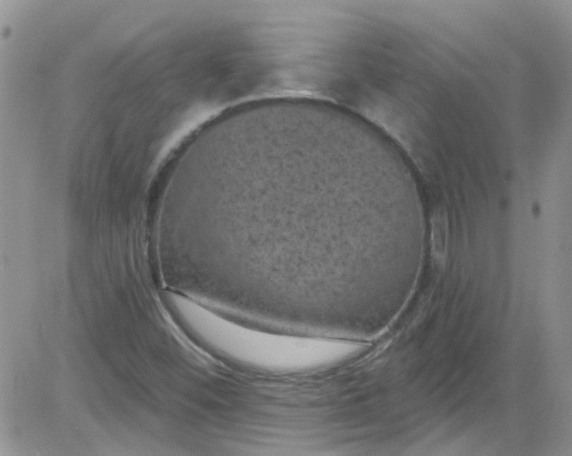 X0000084051452200703022202