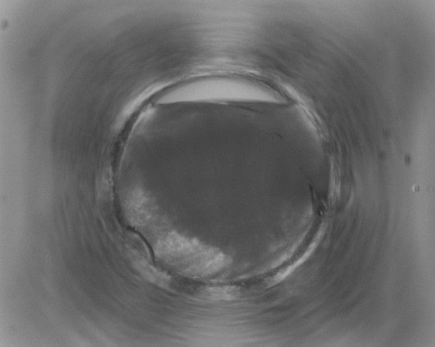 X0000084051453200703022202