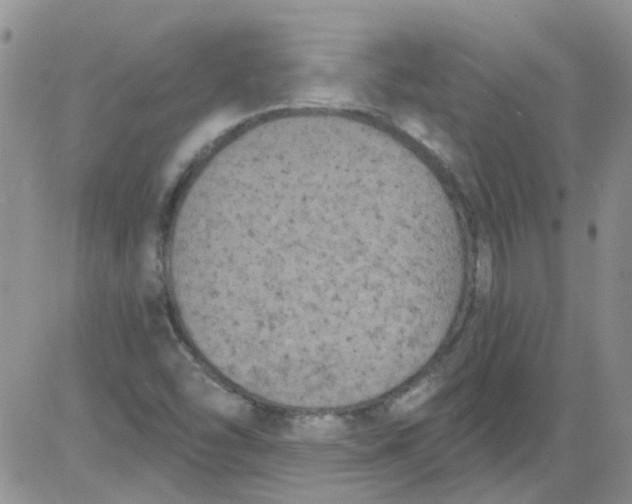 X0000084051454200703022202