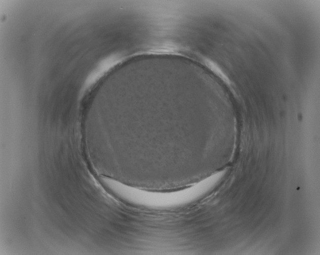 X0000084051456200703022202