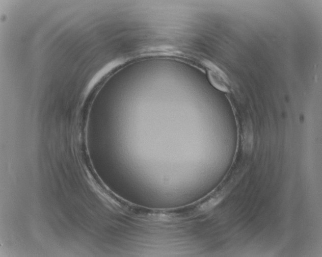 X0000084051458200703022202