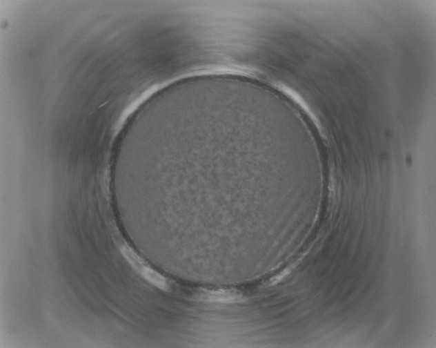 X0000084051460200703022202